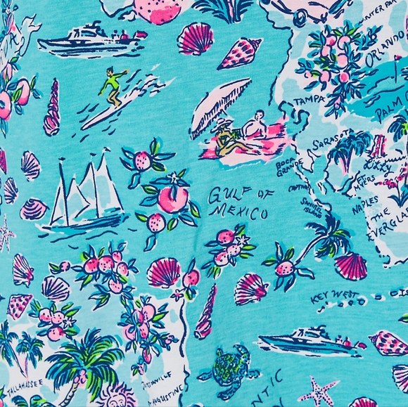 NWT Lilly Pulitzer Cody T-Shirt Dress - Picture 3 of 3